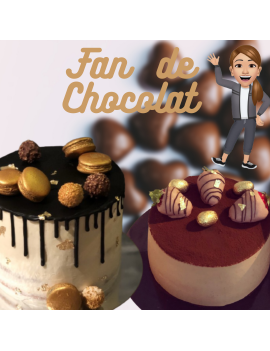 Gateau Fan De Chocolat